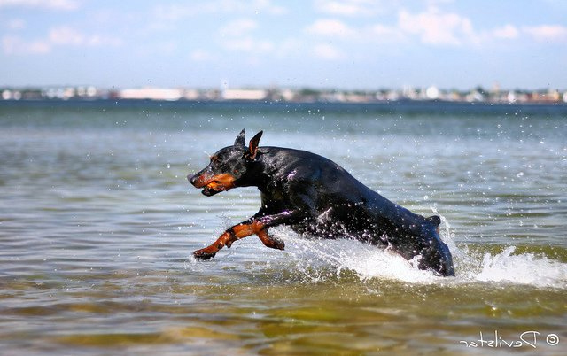 Health Sidebar image